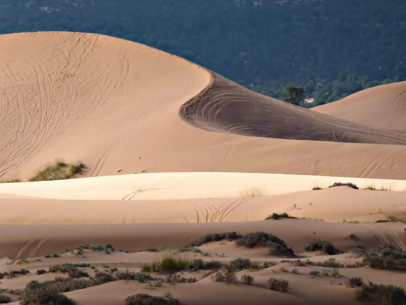 De roze zandduinen van Coral Pink Sand Dunes State Park