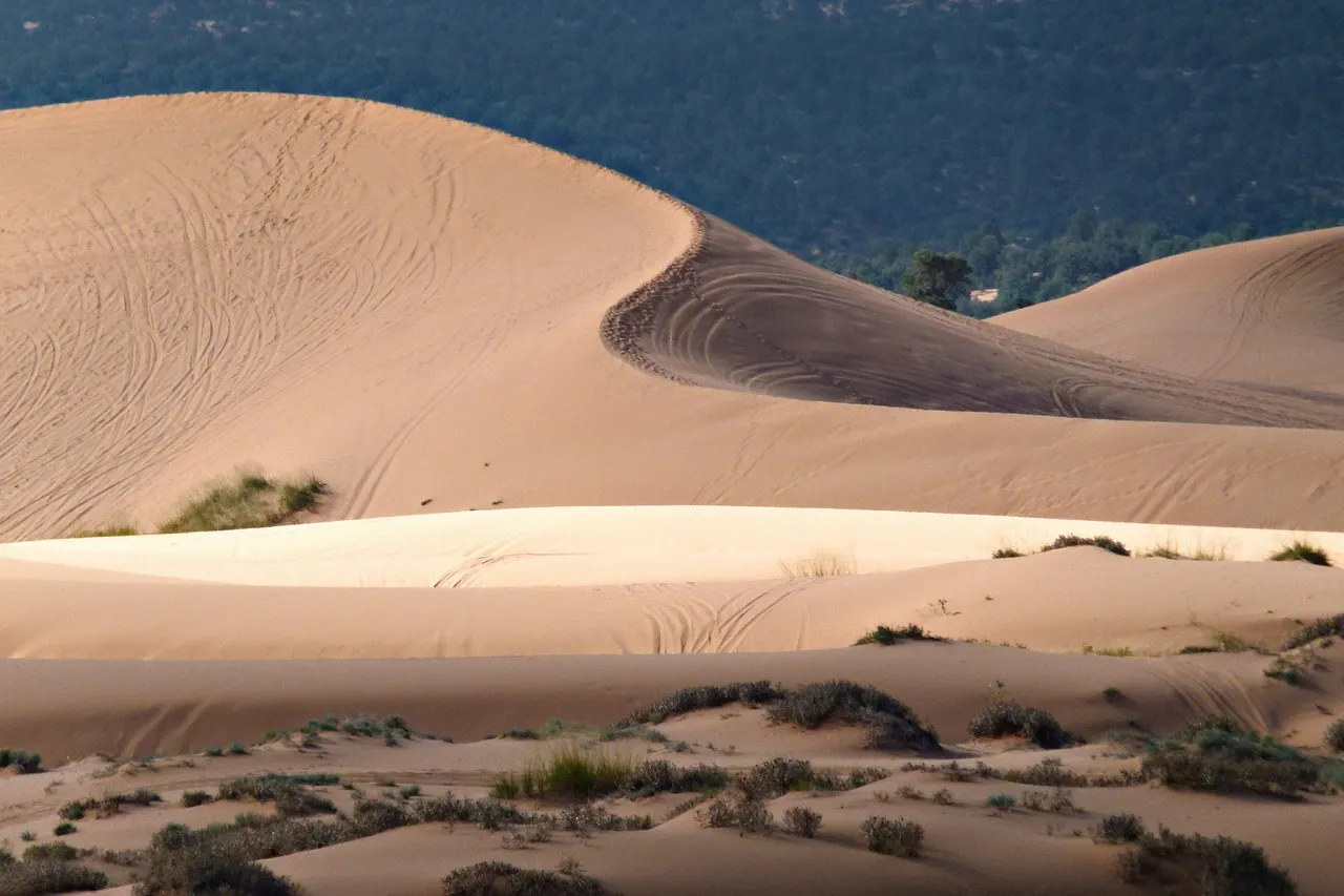 De roze zandduinen van Coral Pink Sand Dunes State Park