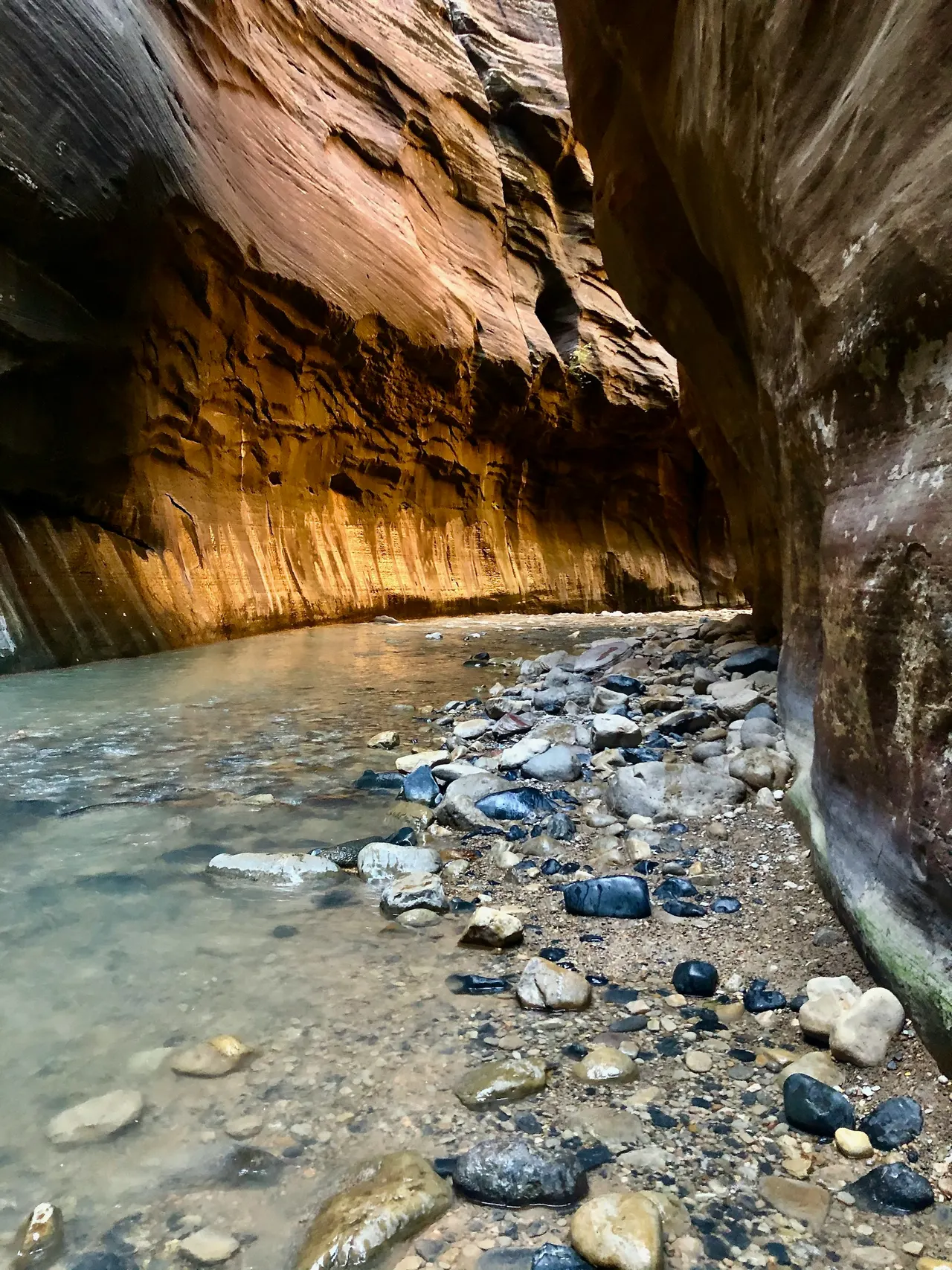 De rivier tussen de steile wanden van The Narrows in Zion