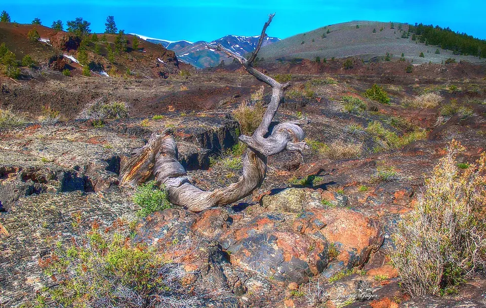 Van kust tot geisers; Oregon en Yellowstone